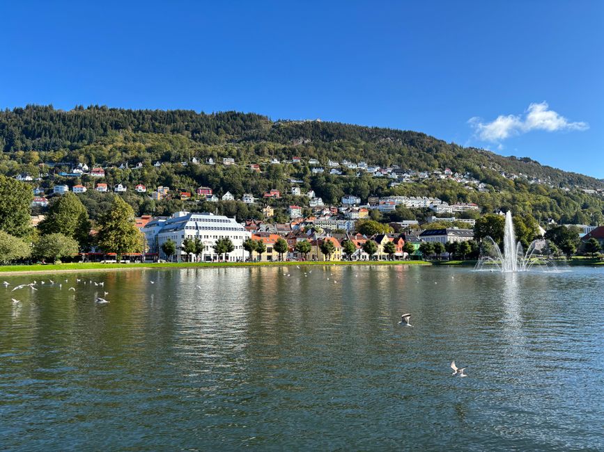 bergen-by-bedre-naetter